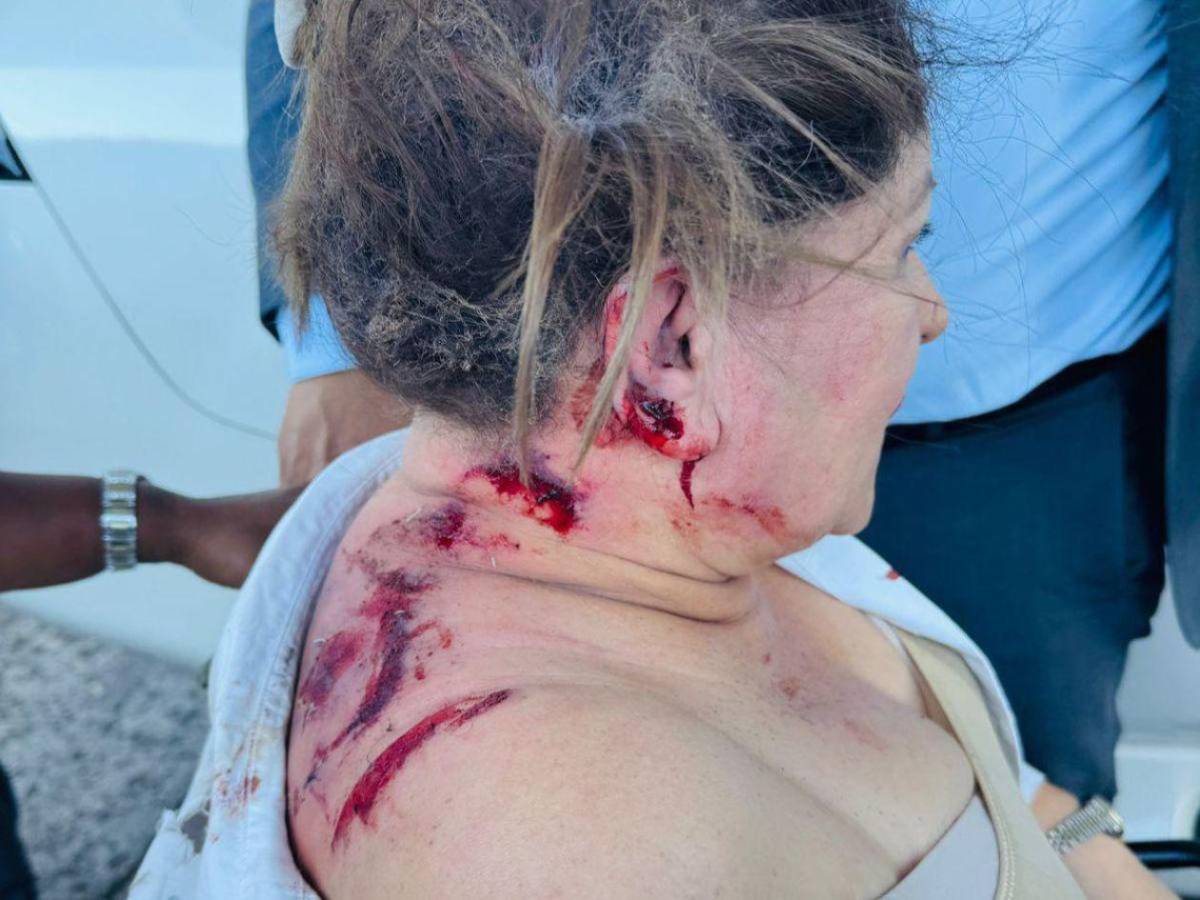 Esto se sabe sobre los atacantes de Gladis Aurora López