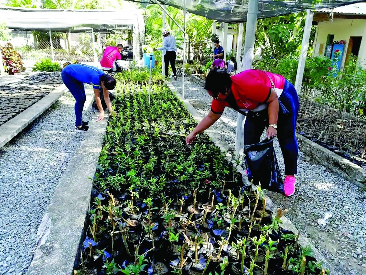 LA PRENSA lanza campaña “Sembrando Esperanza”