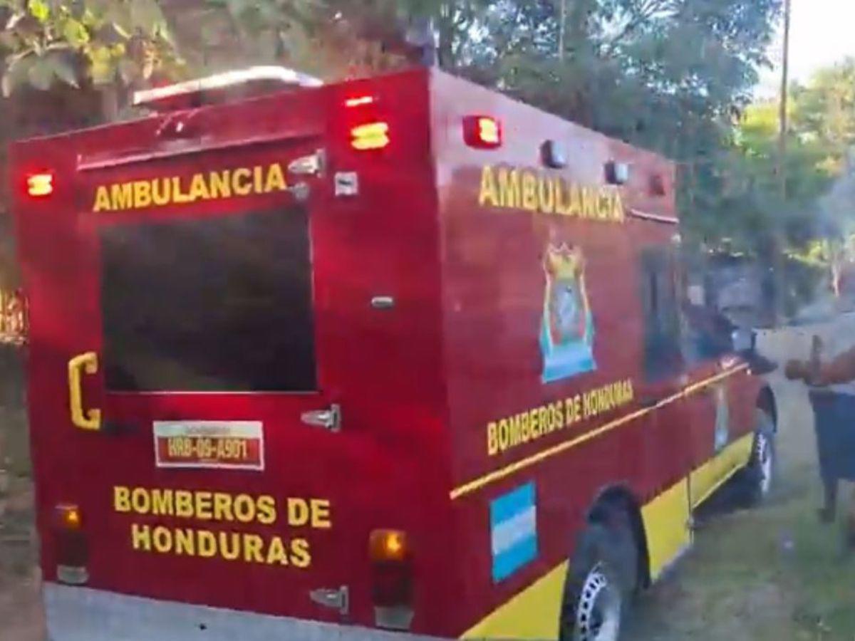 Hombre muere tras ser atacado por un enjambre de abejas en Choluteca