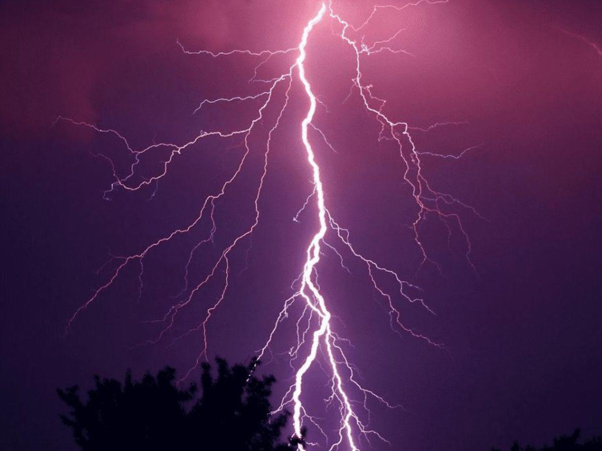 Fulminante rayo mata a un ganadero y a 34 de sus vacas