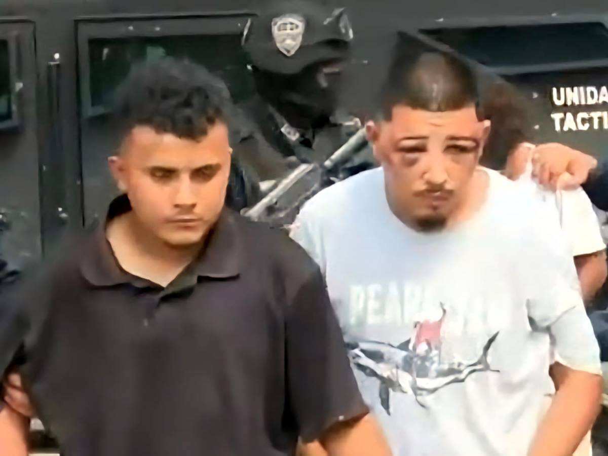 Pandilla 18, MS-13 y Cartel del Diablo ¿Por qué las declararon organizaciones terroristas?