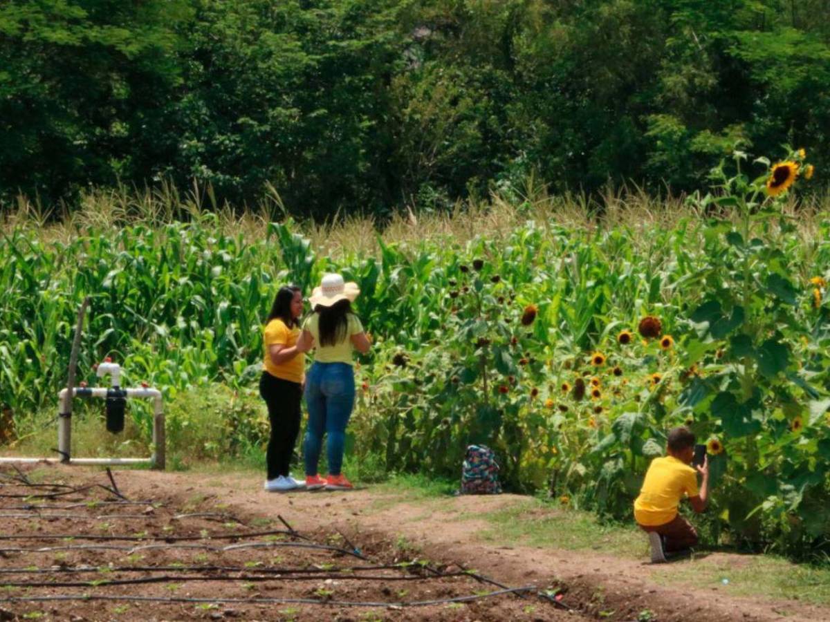 Entre aventuras, café y guacamayas, descubre el occidente de Honduras esta Semana Santa