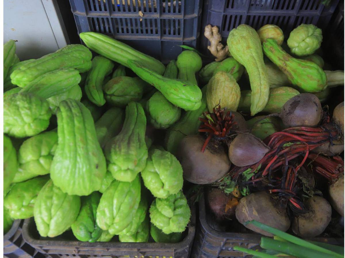 Mercados sampedranos: los productos que más subieron y los que mantienen su precio