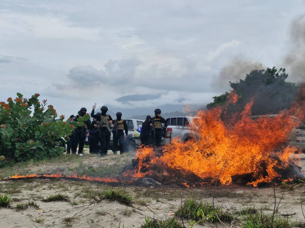 Hacen humo 800 libras de marihuana en La Ceiba