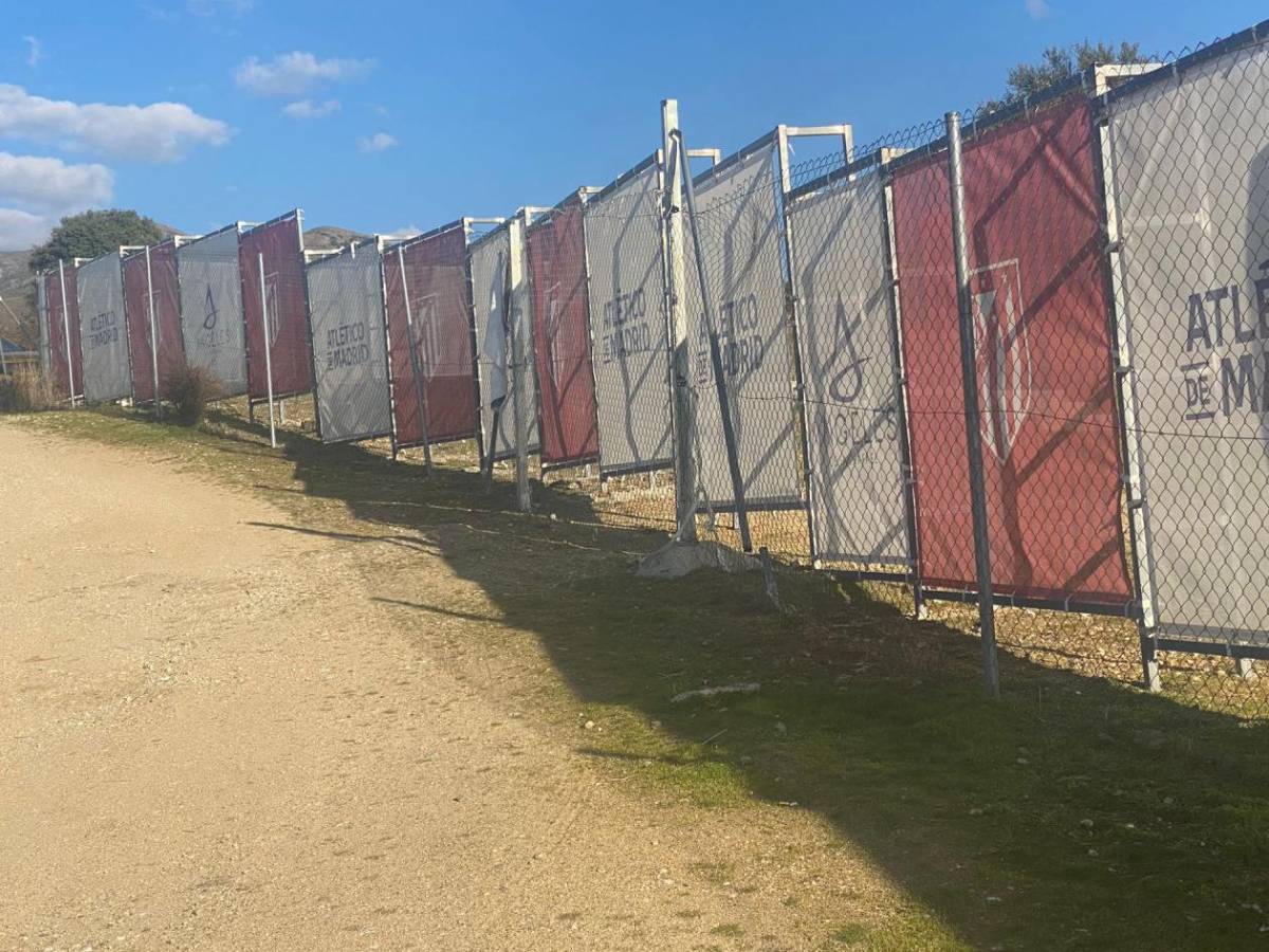 Honduras inicia nueva era: tres “fichajes” sorprenden en primer entrenamiento de Molina