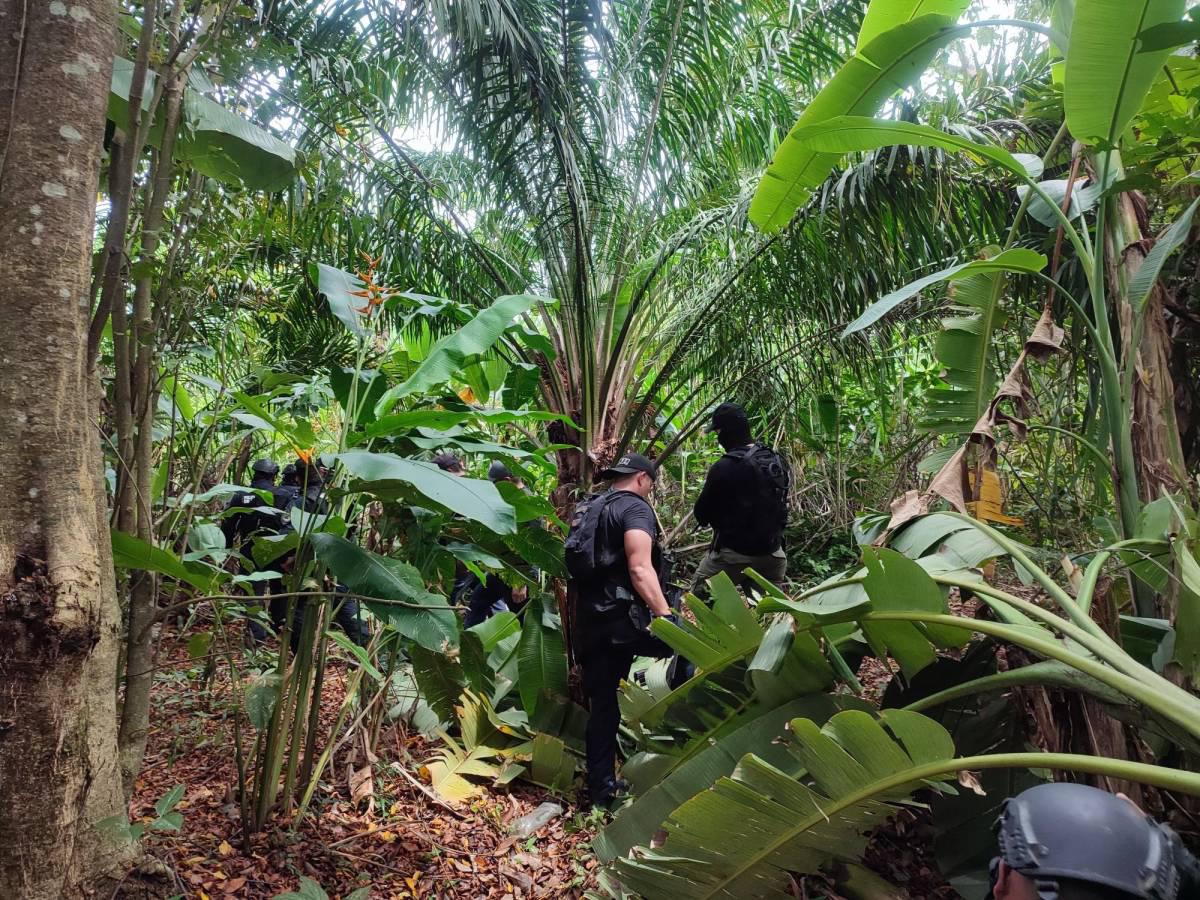 Perverso hallazgo en celular de la “Banda de Berna”