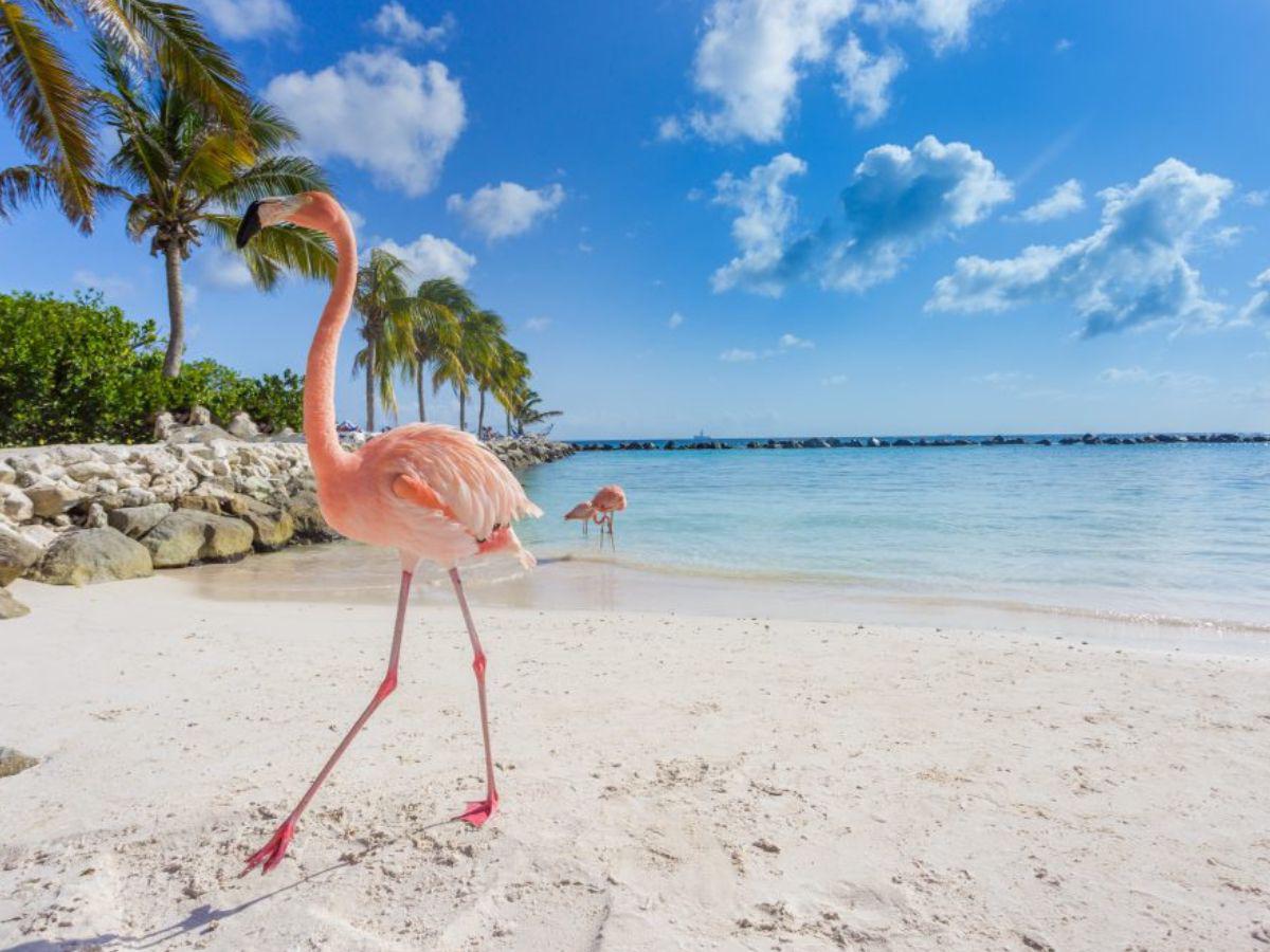 Honduras: Conozca los países  donde puede viajar sin visa