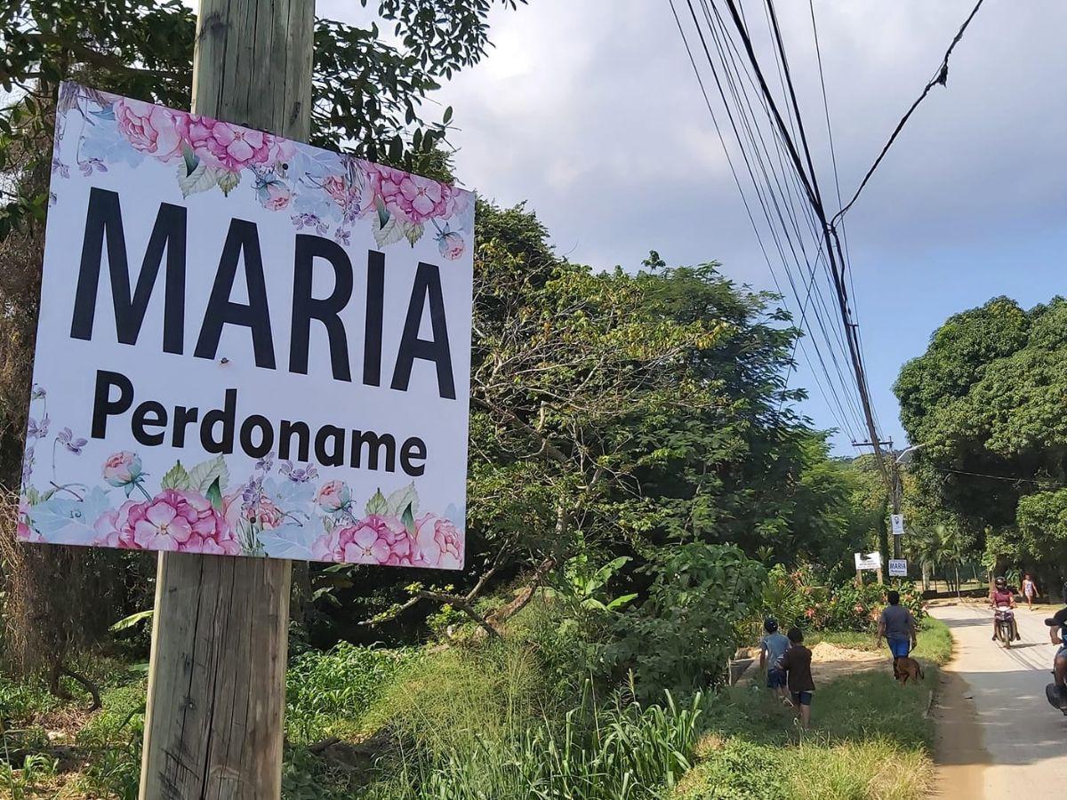 Se viralizan rótulos de hondureño que pide perdón en Roatán