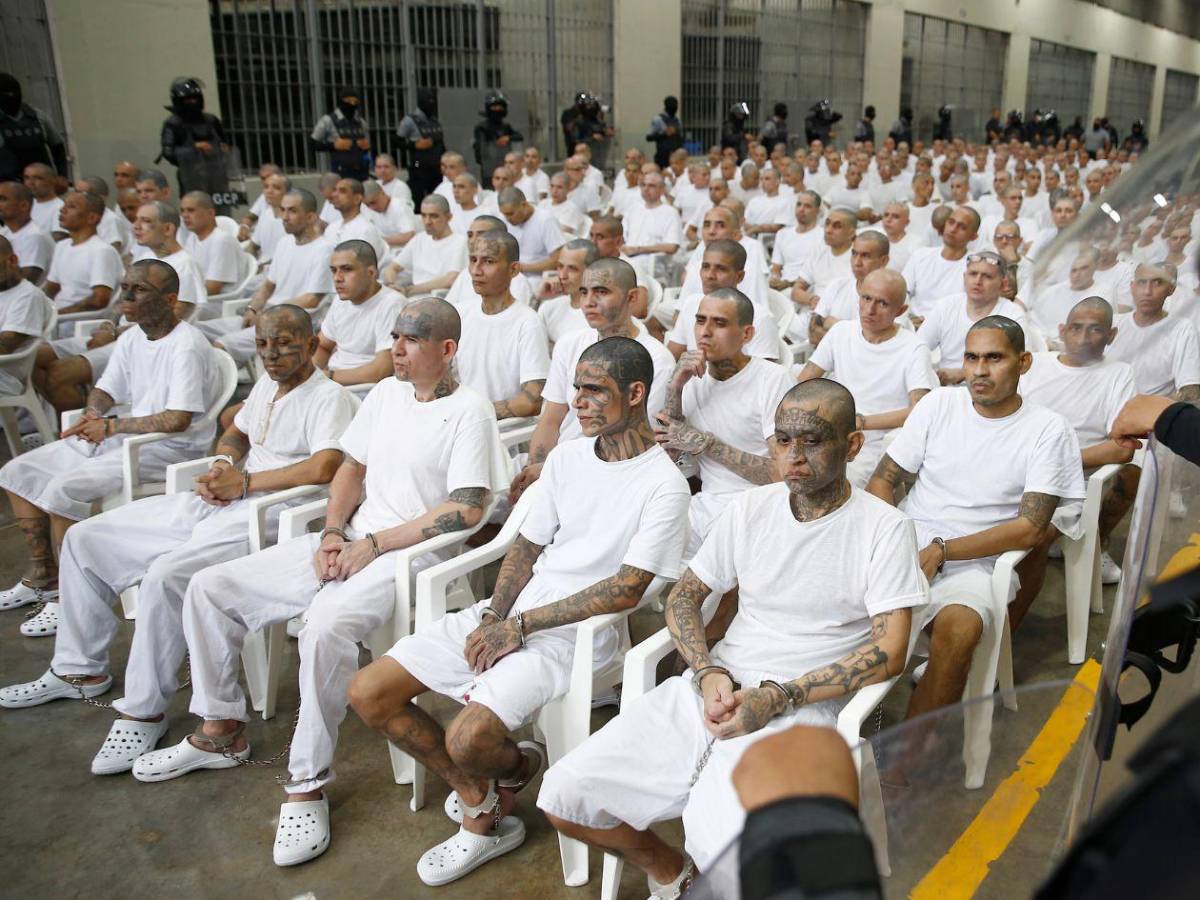 Inédito megajuicio contra más de 400 presuntos pandilleros