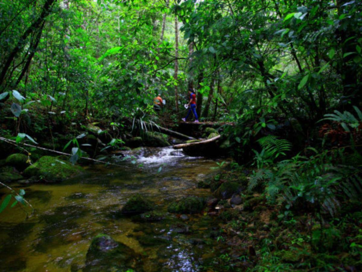 Los 10 destinos imperdibles en Cortés para conocer en la Semana Morazánica