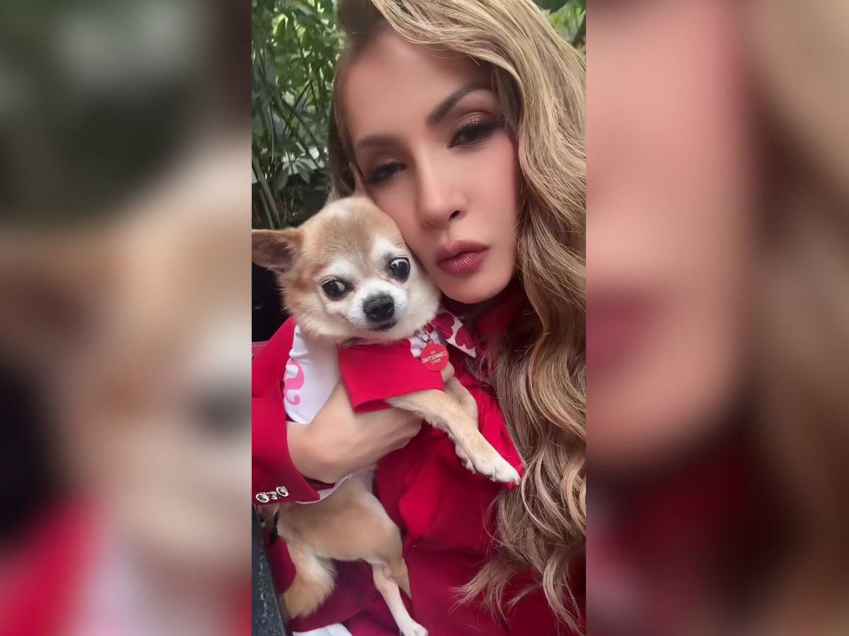 Paty Navidad, destrozada tras la muerte de uno de sus seres más queridos