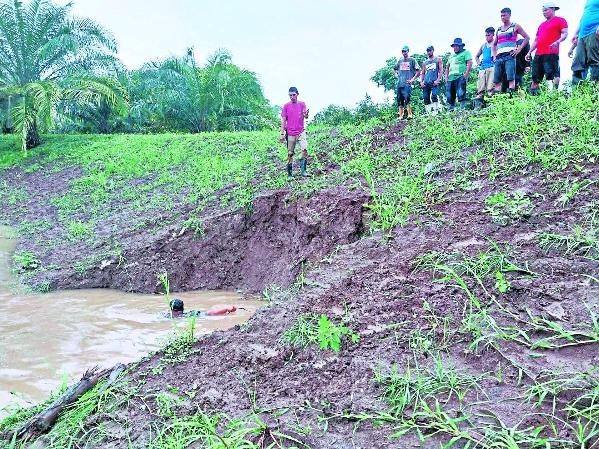 Los niveles de los ríos Ulúa y Chamelecón ya se acercan a sus estados normales