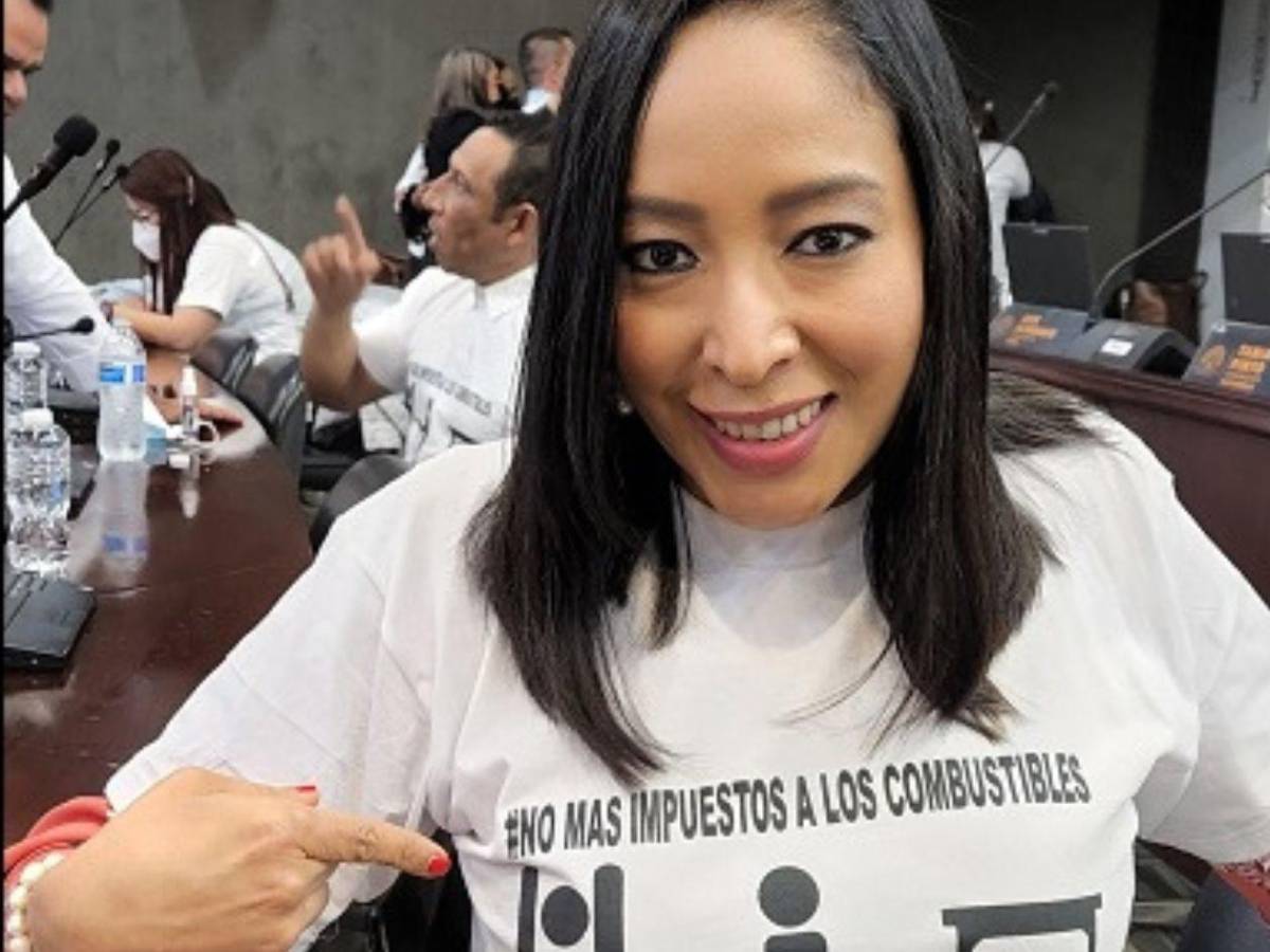 Ellos son los 115 ciudadanos que disputan 23 diputaciones en Francisco Morazán