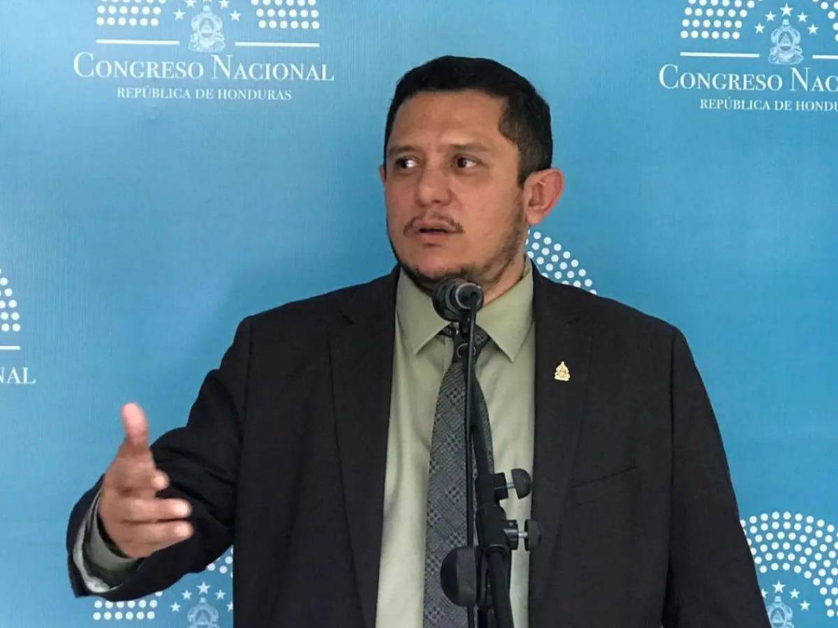 Abogados, docentes y un exárbitro buscan un curul en el Congreso Nacional