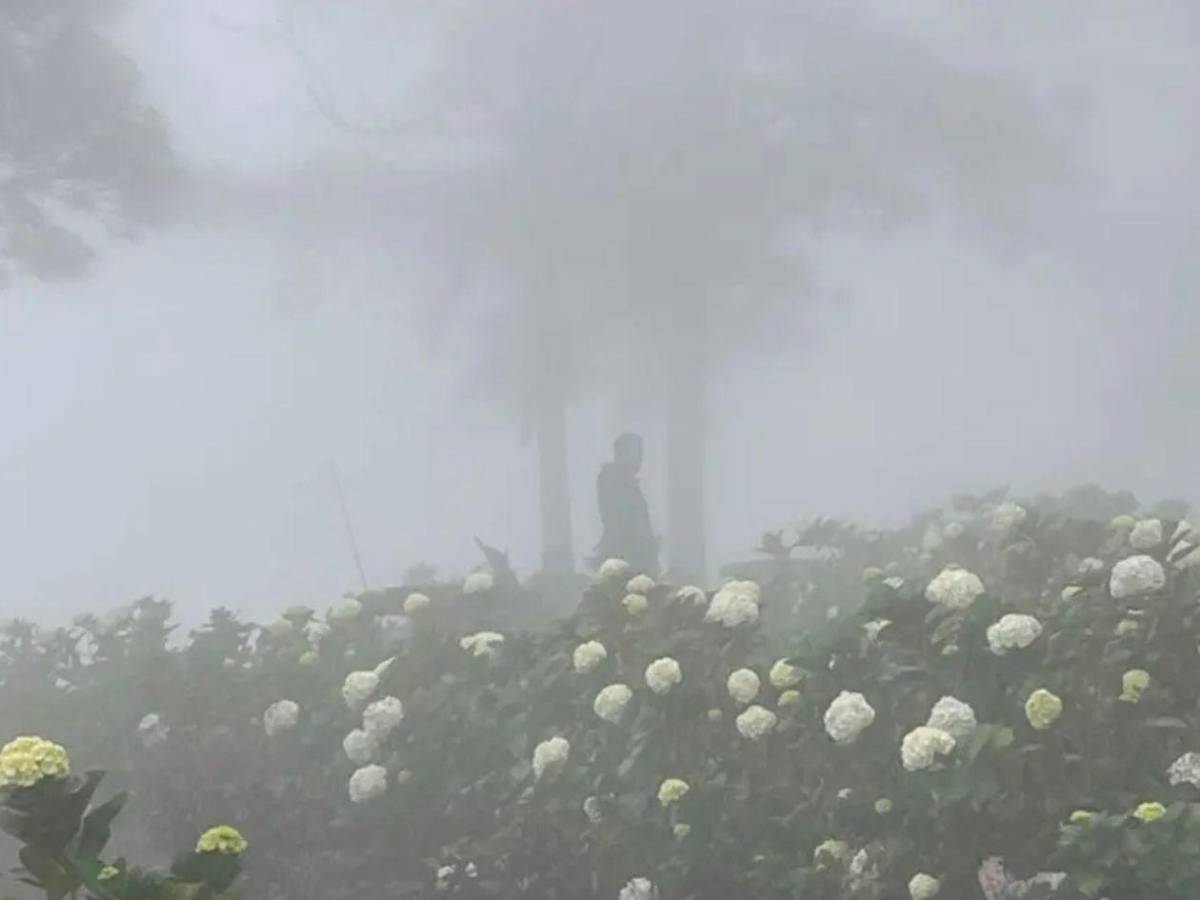 ¿Qué es el vórtice polar que causa frío intenso en Honduras, Centroamérica y EEUU?