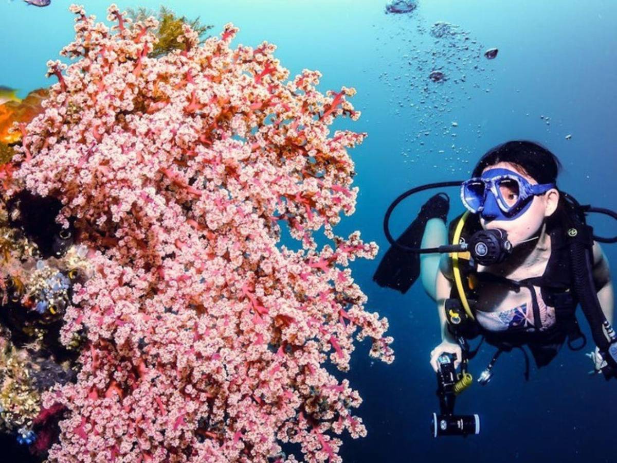 Tela, Omoa y Roatán, tres paraísos en Semana Santa que enamoran