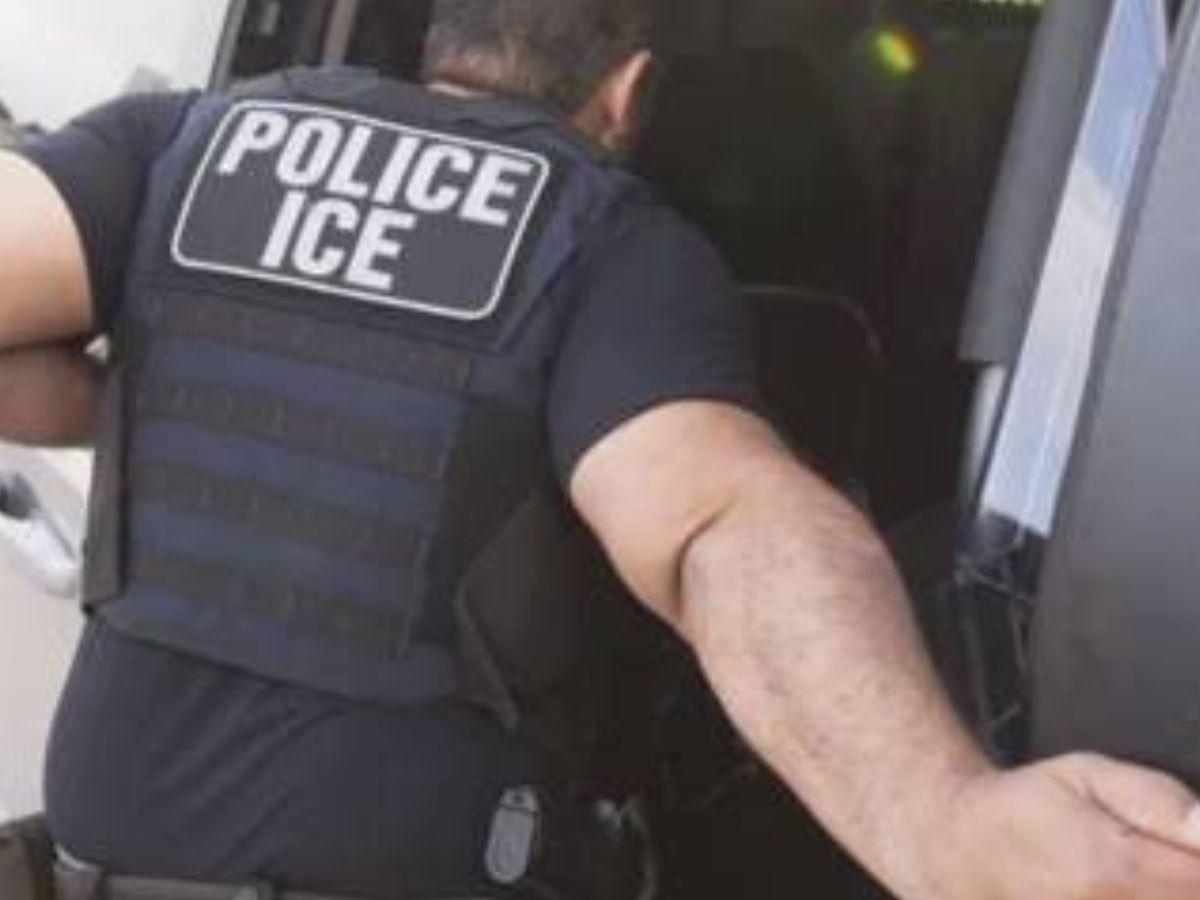 ¿Quién es el migrante que trepó un árbol para evitar ser arrestado?