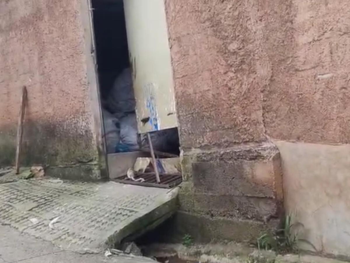 “Solo por una malteada”: madre del menor asesinado en El Tablón