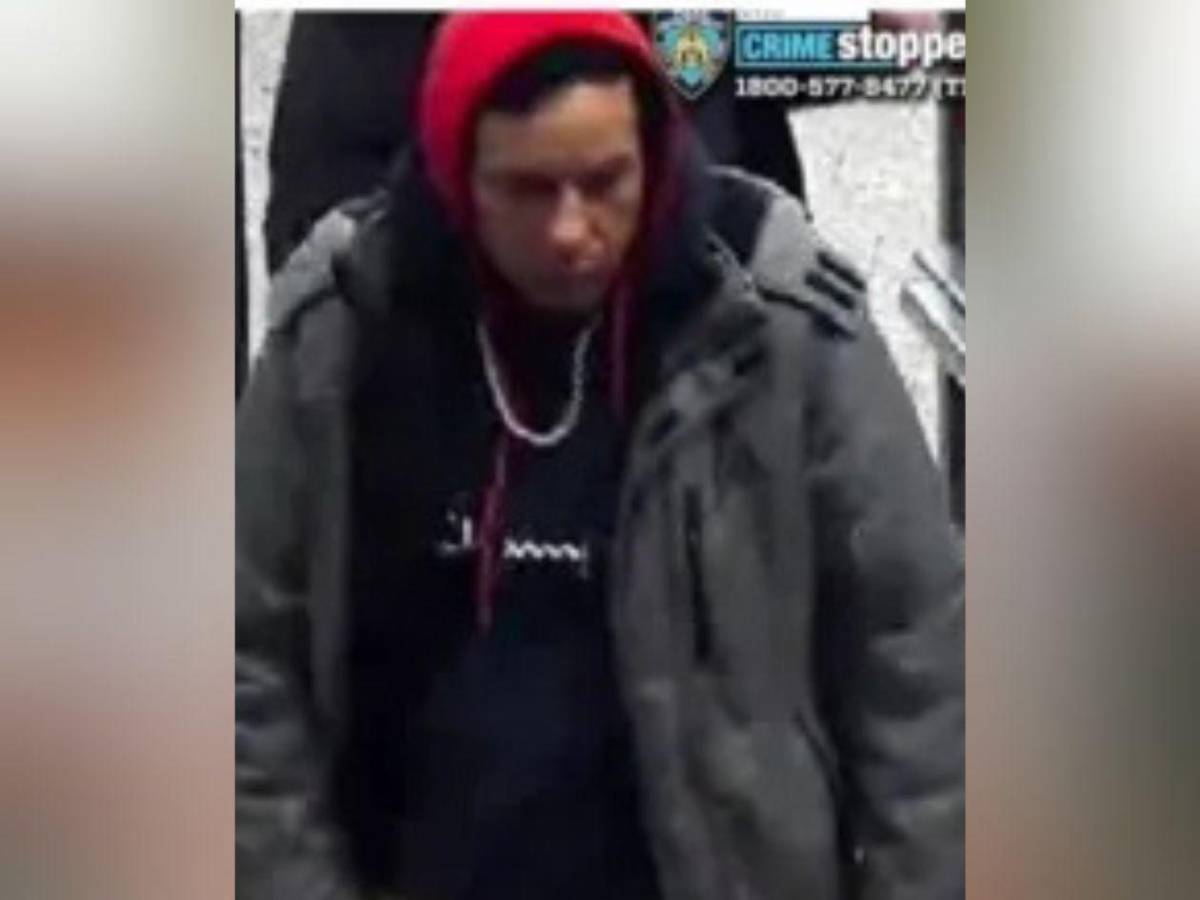 Hondureño es acusado: muere veterano empujado a las vías del metro en Nueva York