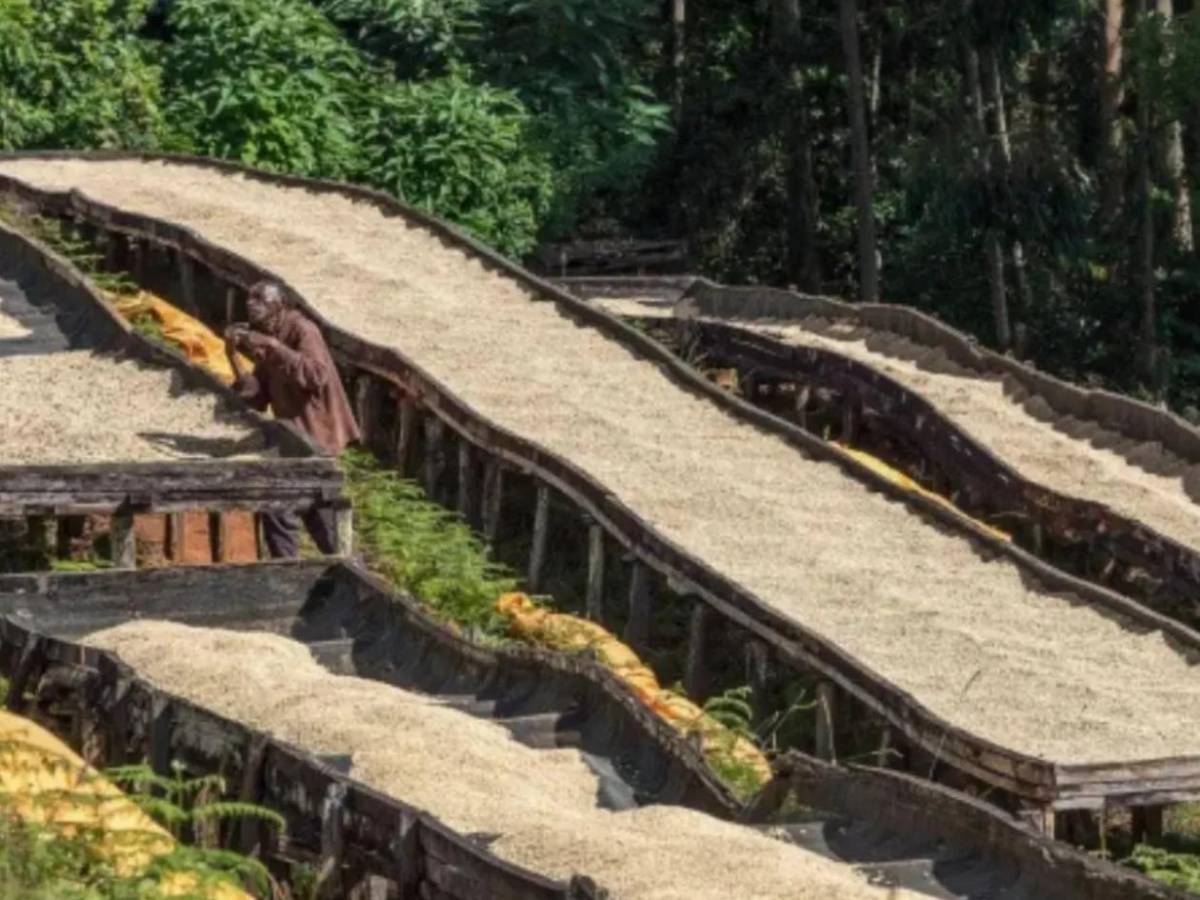 Ter Stegen y Falcao se unen para invertir con peculiar negocio en Honduras