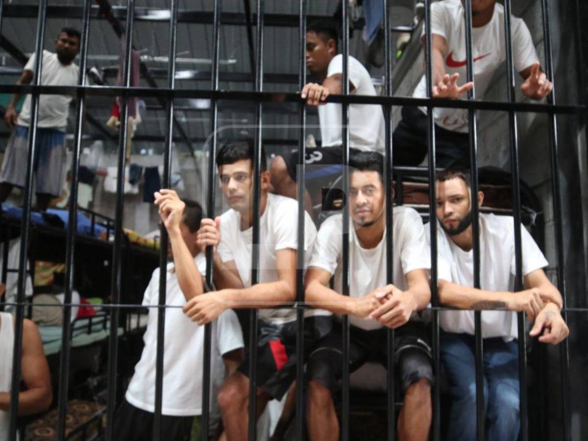 Gallos y la Santa Muerte: así es Támara VIP por dentro