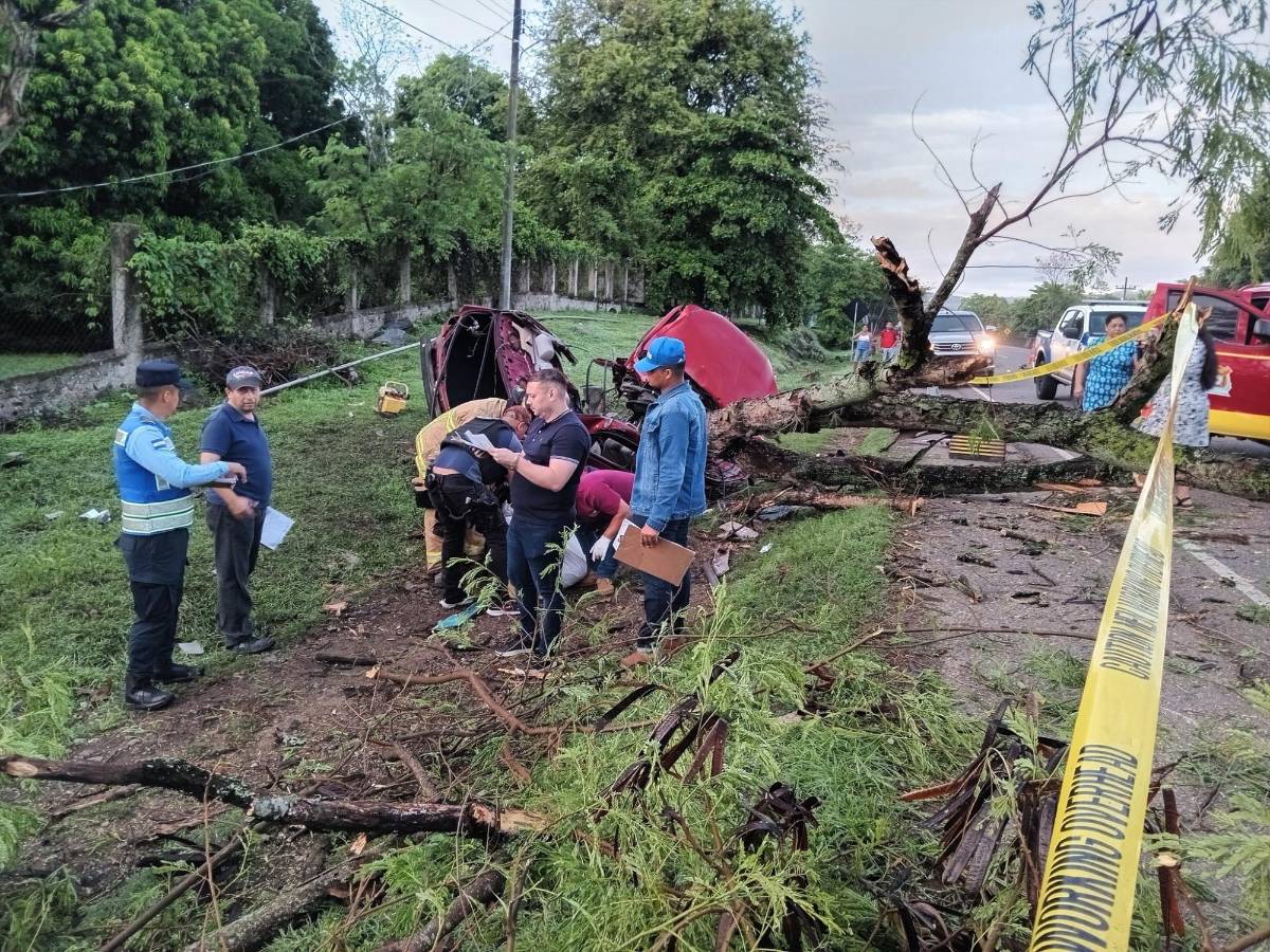 Carro se partió en dos: muere Álvaro Somarriba en la recta de Yojoa