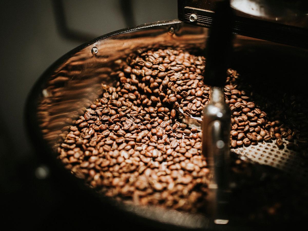 Finca Santa Isabel, café de tradición en las alturas de Copán