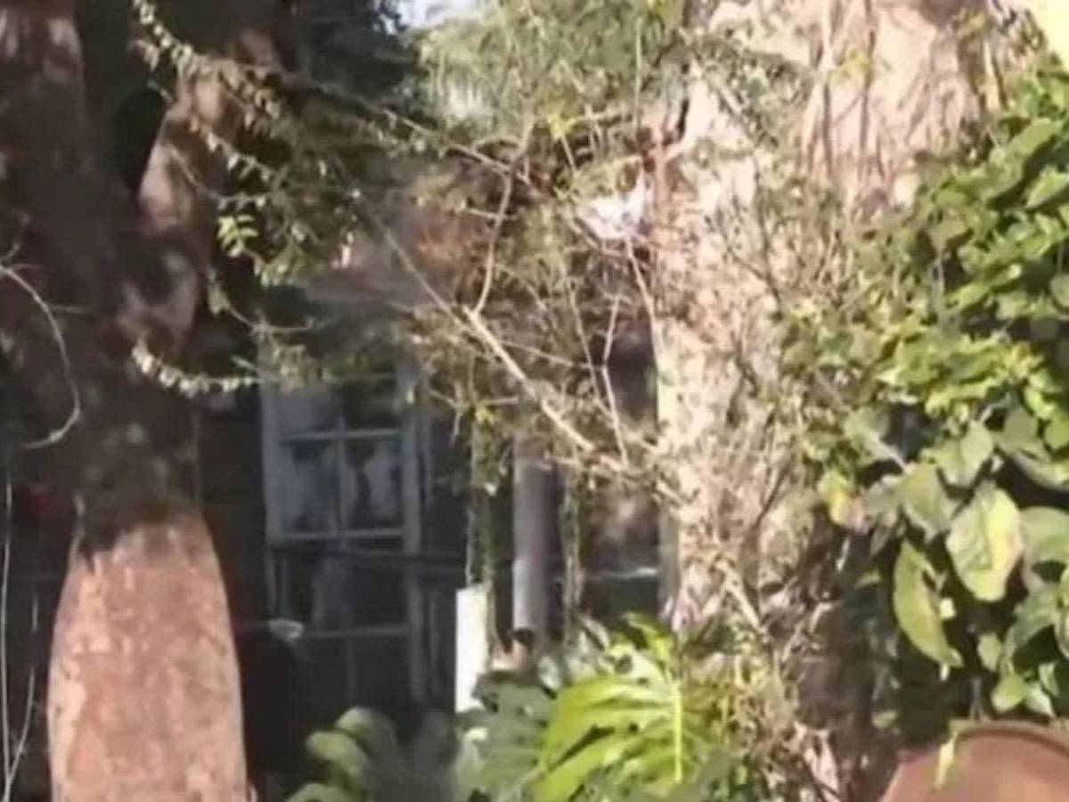 Lo que hallaron en la casa donde le quitaron la vida a Brenda, Morena y Lara