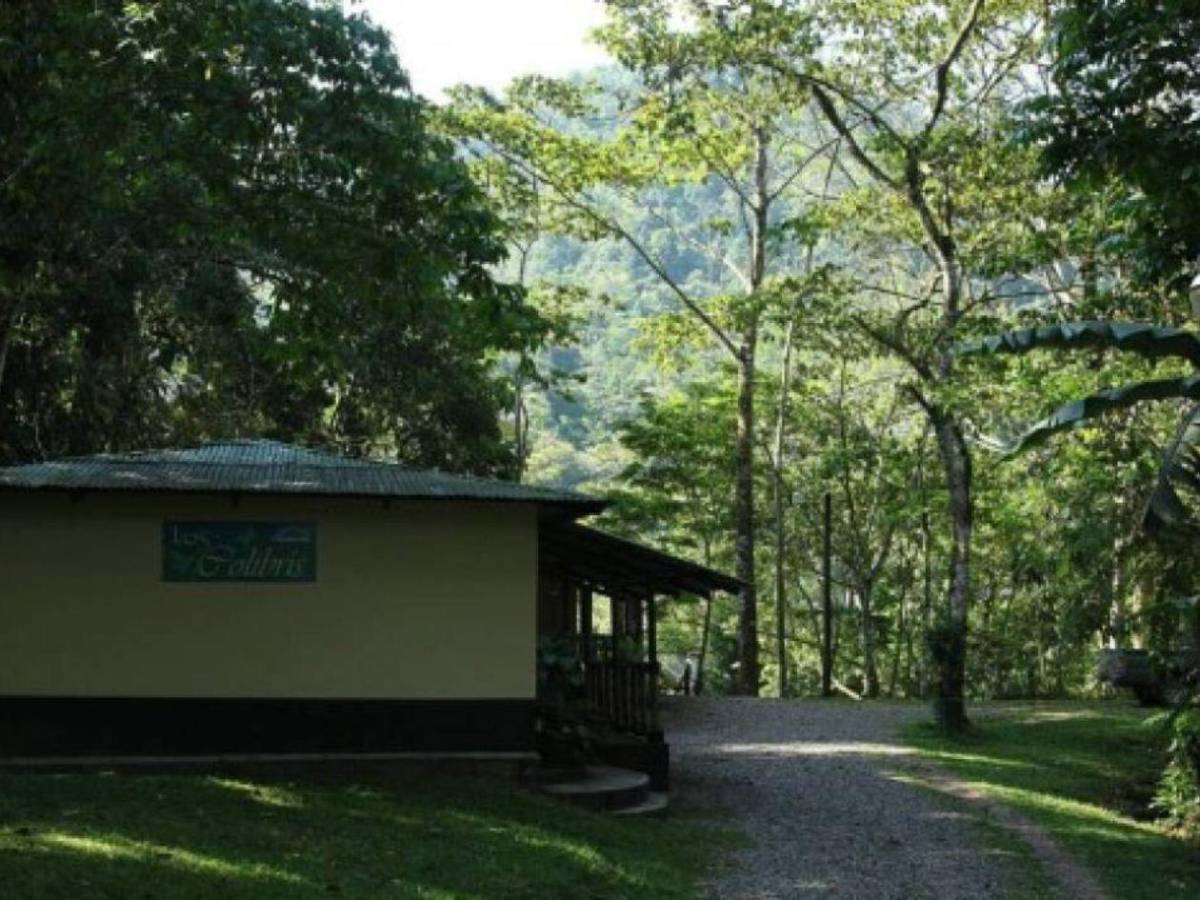 Los 10 destinos imperdibles en Cortés para conocer en la Semana Morazánica