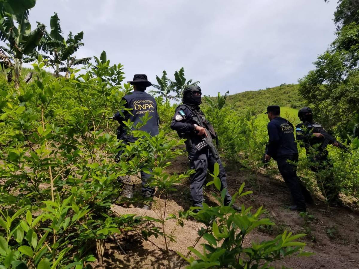 Oficiales especiales hondureños han desplegado operaciones en Colón.