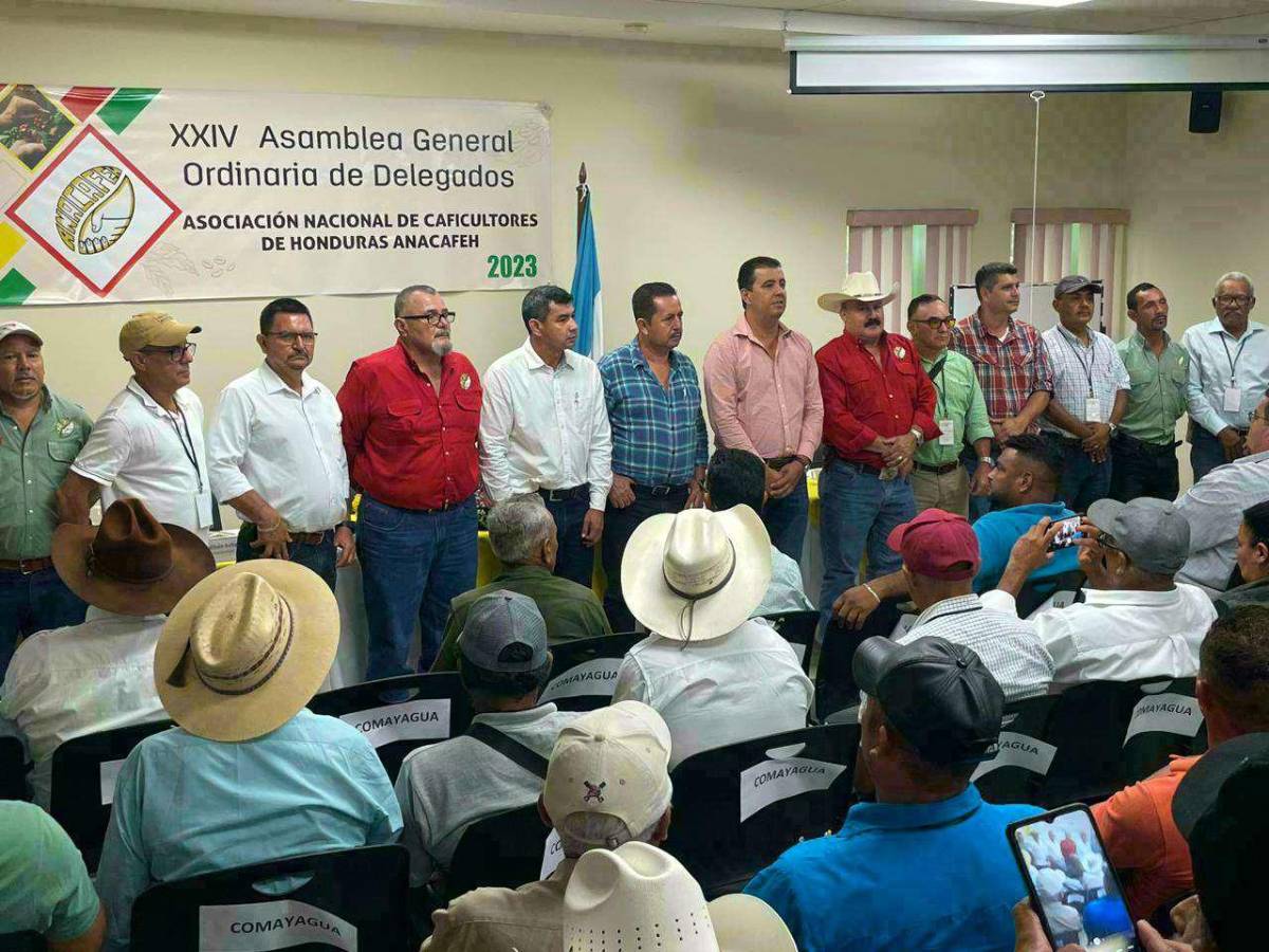 Dos presidentes tiene Anacafeh y denuncian injerencia