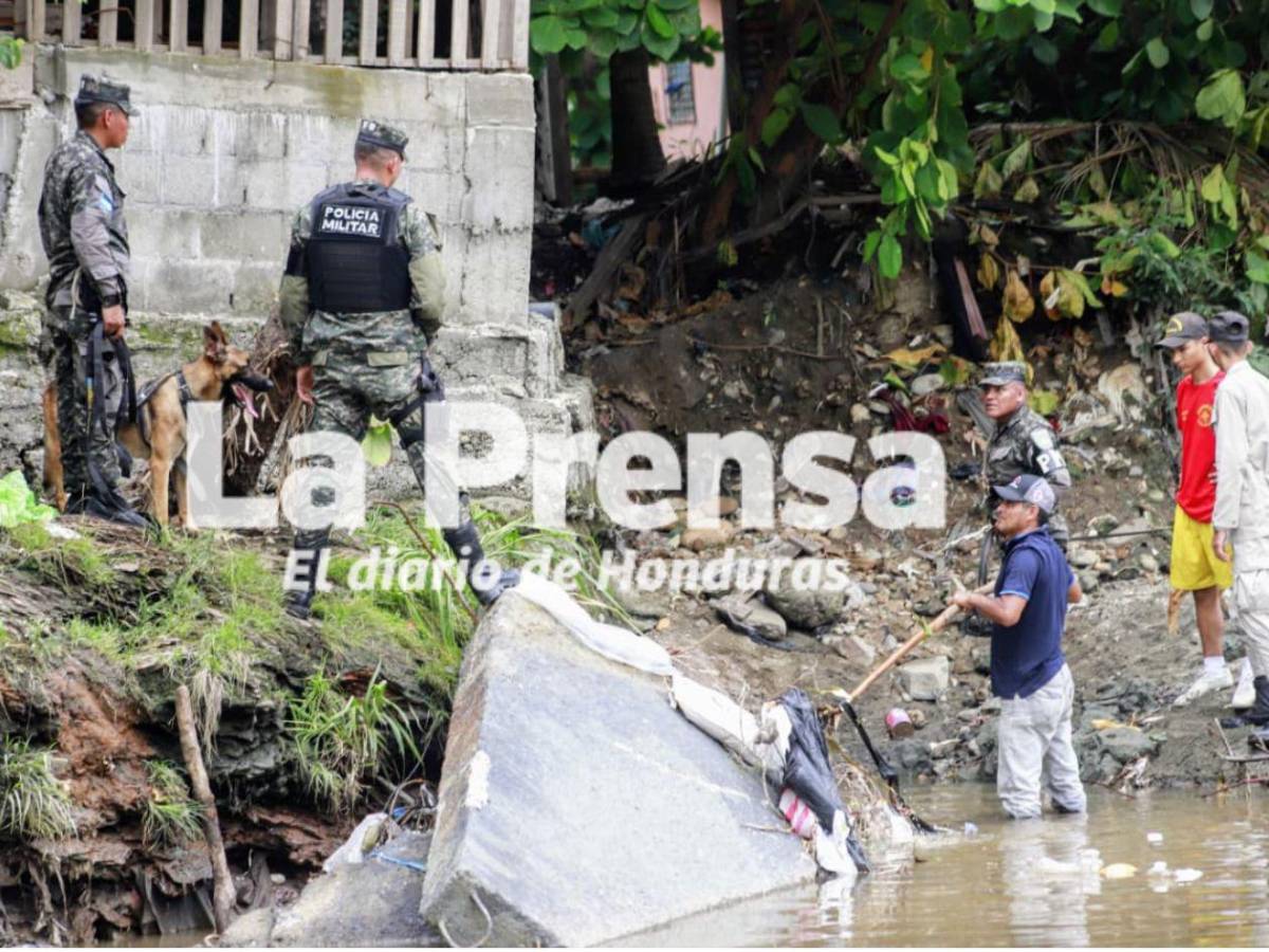Odín y Max, los dos caninos que se suman a la búsqueda de Elvis Eliú