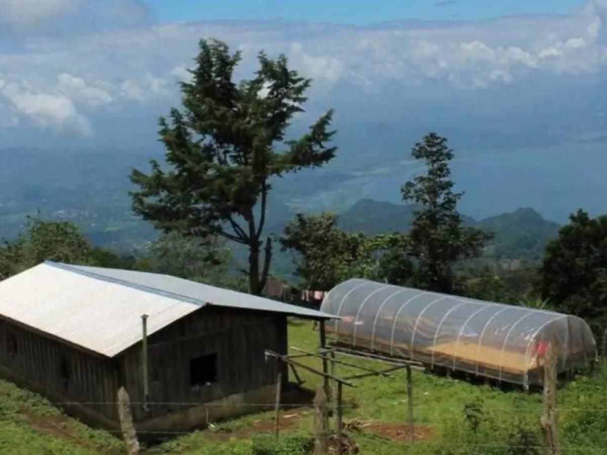 Ter Stegen y Falcao se unen para invertir con peculiar negocio en Honduras