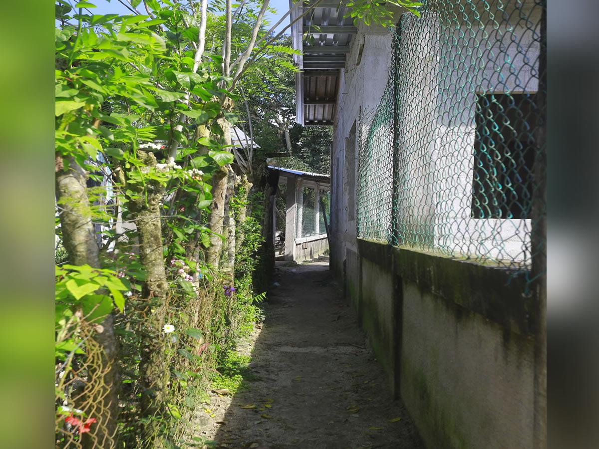 Mujer que mató a tres personas enfrenta condena de 75 años