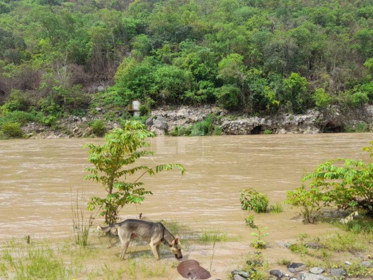 Mayra se tiró al río para salvar a un niño: lo rescató, pero ella no sobrevivió