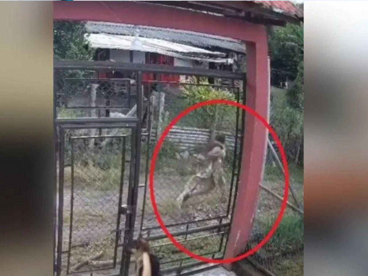 Así castigó la justicia al pastor que raptó y abusó de su hijastra