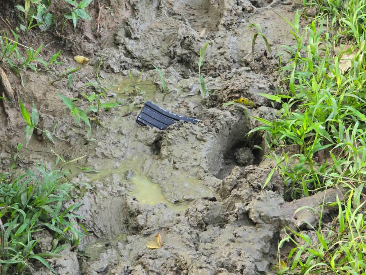 Armas enterradas, fusiles de guerra y siete detenidos tras operativo por masacre de Rigores
