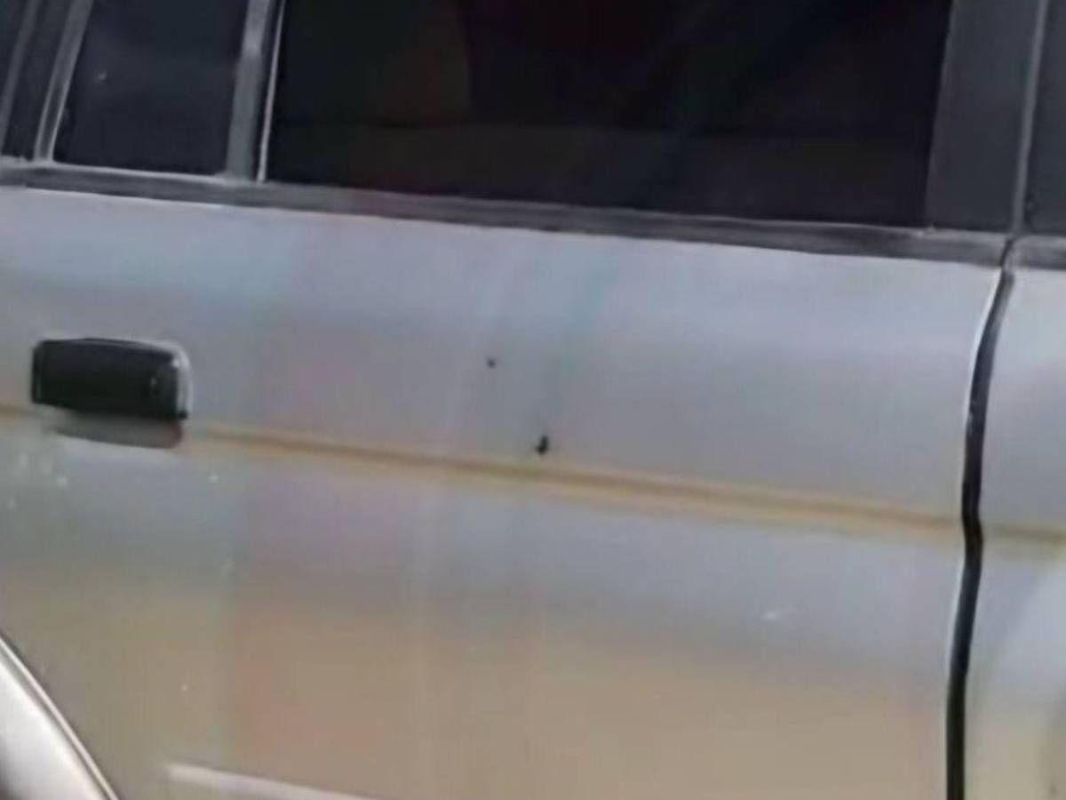 Regresaba de la iglesia: Así era Mariela Moradel, ultimada mientras conducía en Guaimaca