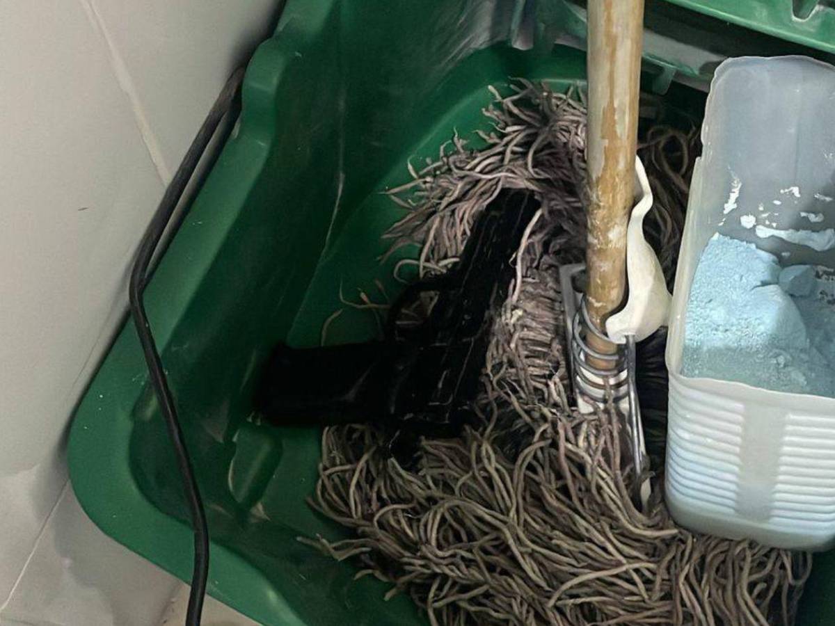 El jugoso botín con el que pretendían huir asaltantes de banco en Copán