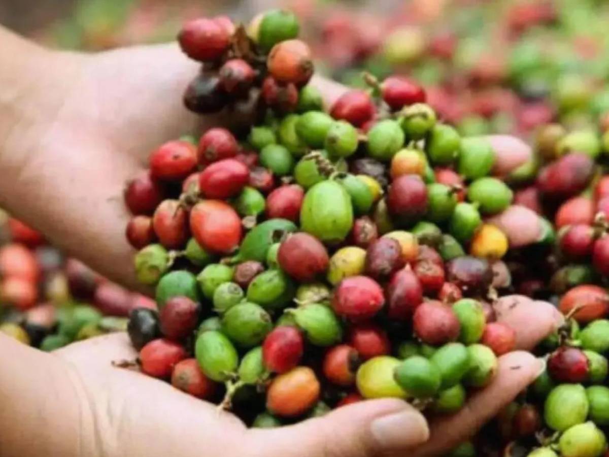 Ter Stegen y Falcao se unen para invertir con peculiar negocio en Honduras