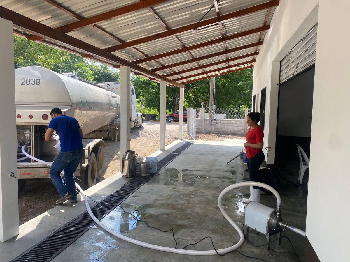 Productores de leche de Copán conquistan mercado nacional