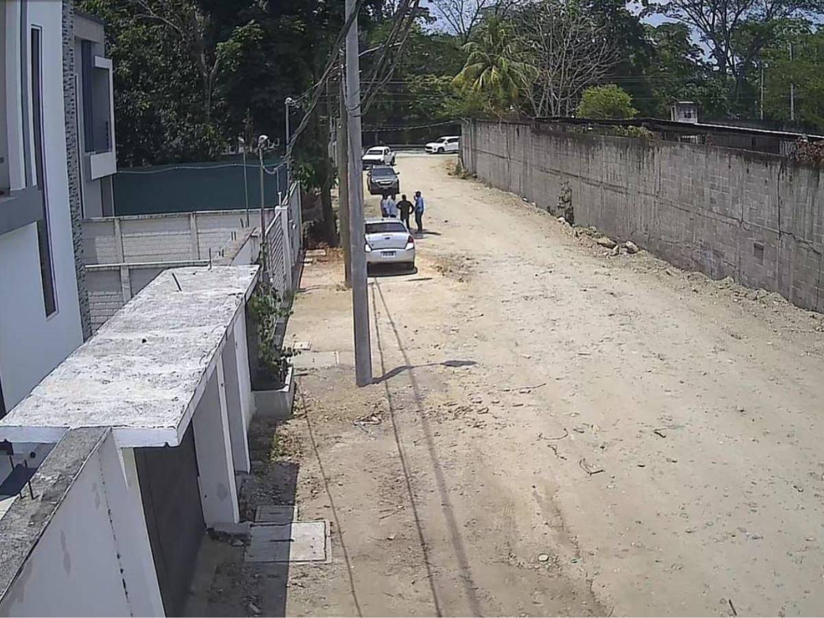 Jardines del Valle también muestra lo que las motosierras de Contreras se llevaron