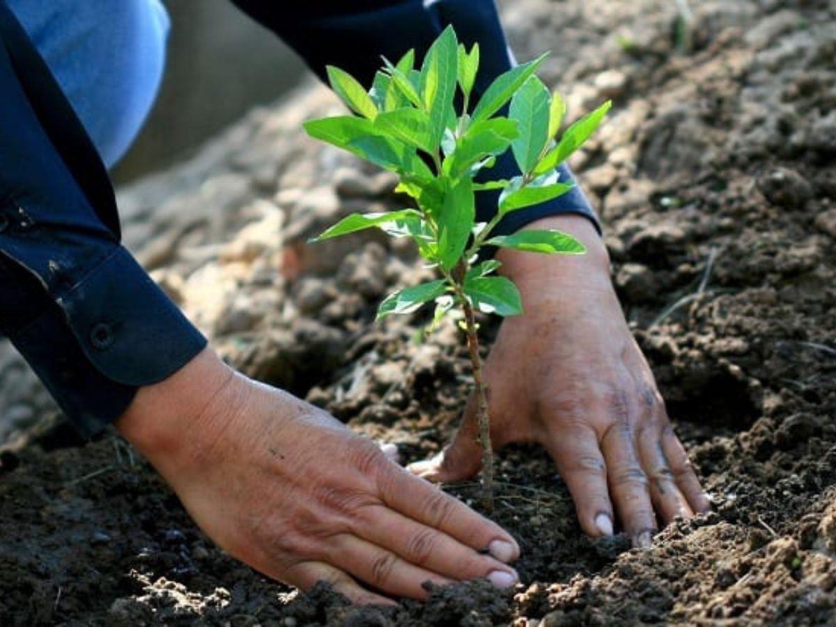 ¡SPS te necesita, súmate a salvar la ciudad! Conoce cómo y dónde