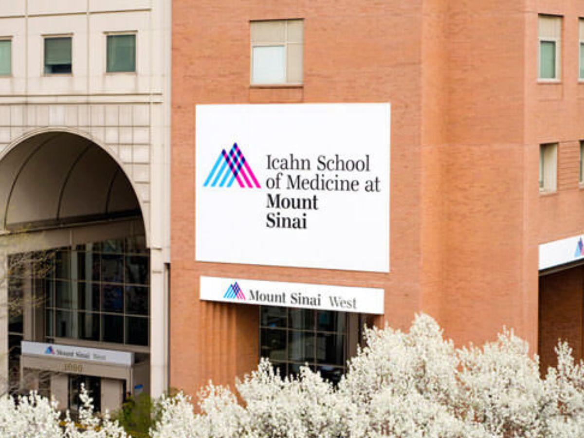 Muere famosa actriz tras ser atropellada en Nueva York