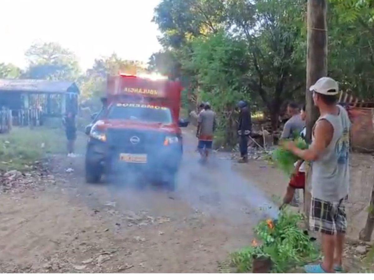 Hombre muere tras ser atacado por un enjambre de abejas en Choluteca
