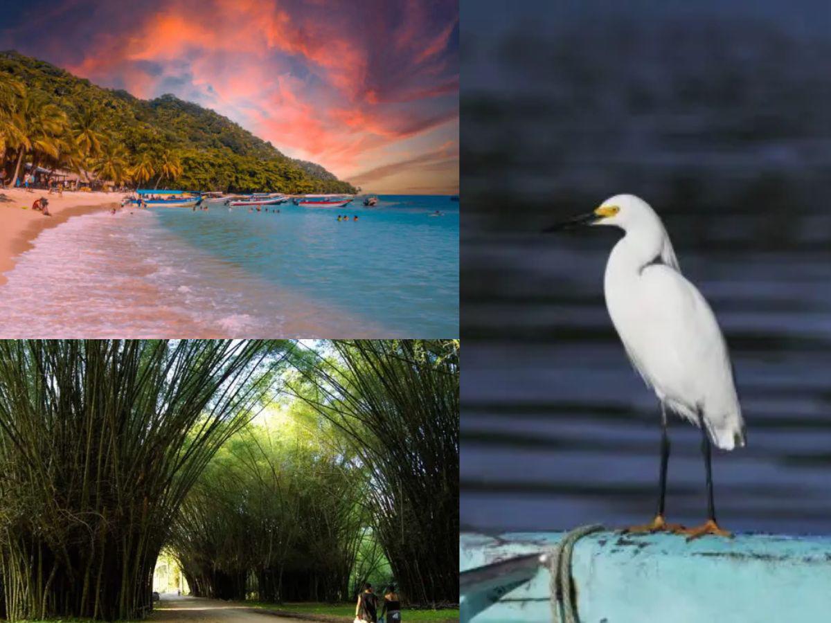 Los mejores destinos de Honduras para disfrutar del Feriado Morazánico 2026