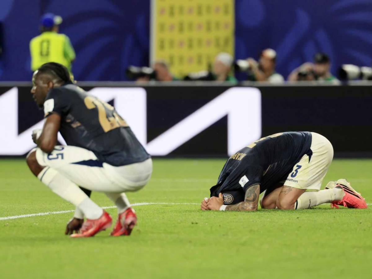 Héroe de Costa de Marfil, tristeza de Ecuador y afición, de la fiesta al drama en el Mundial