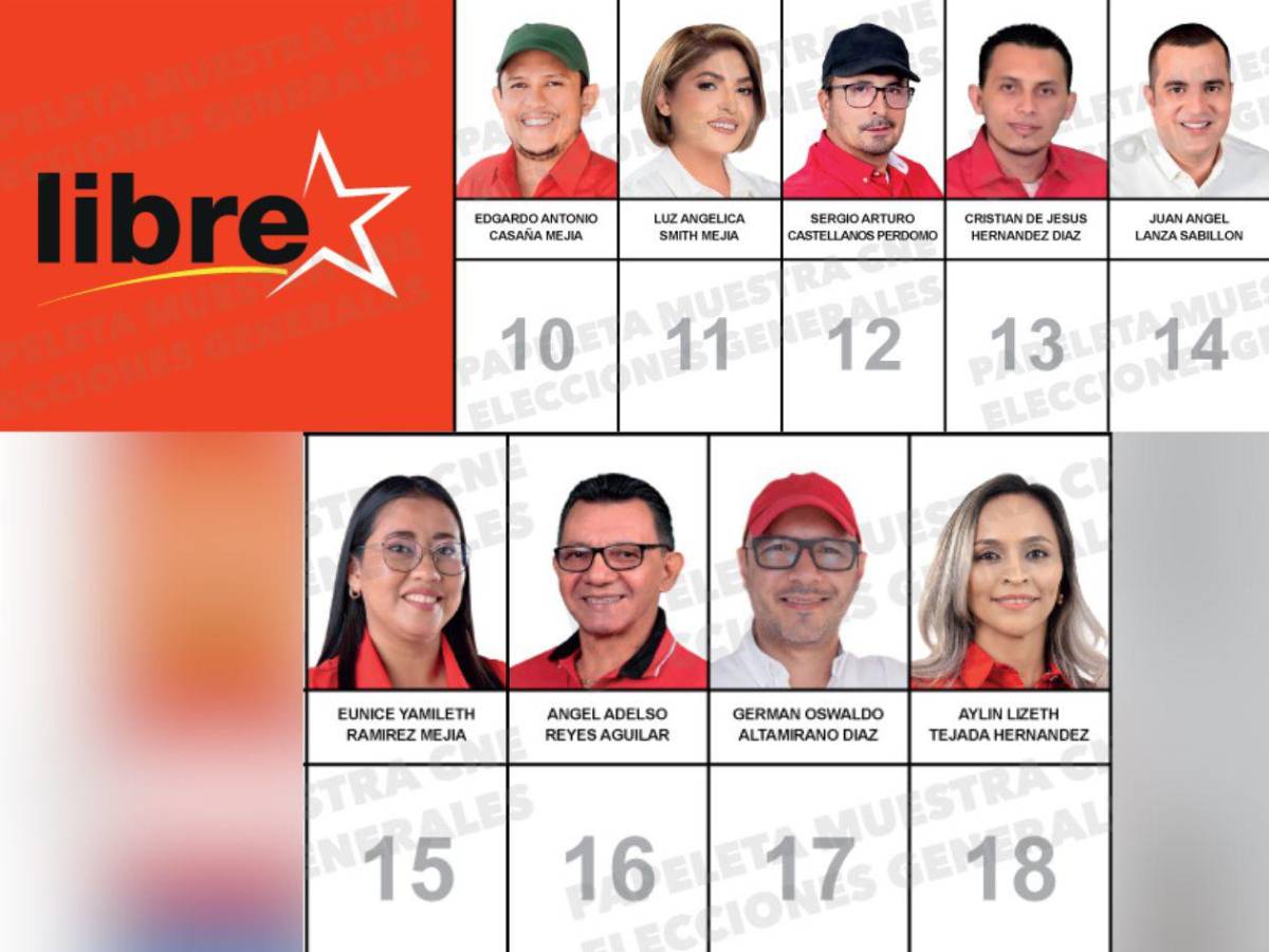 Abogados, docentes y un exárbitro buscan un curul en el Congreso Nacional