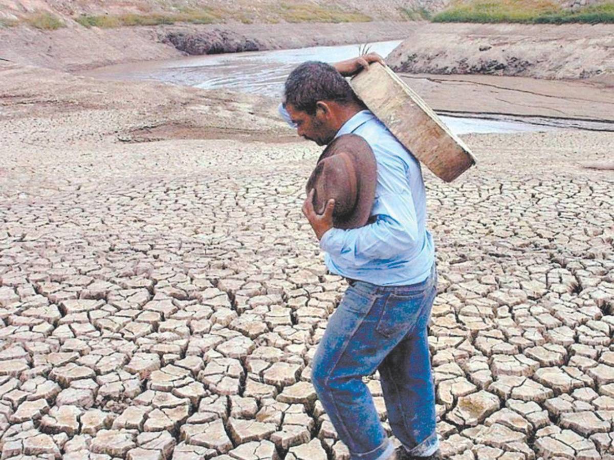 Alimentos, agua y salud: así será distribuida la ayuda para 762,000 hondureños