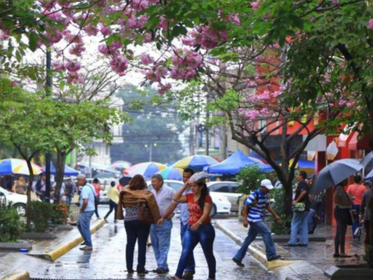 Así estará el clima en San Pedro Sula en los próximos días